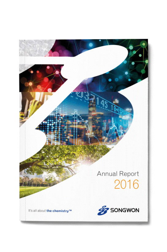 Songwon annual report 2016