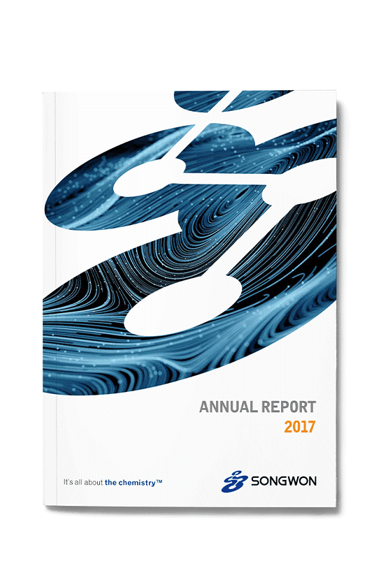 Songwon annual report 2017