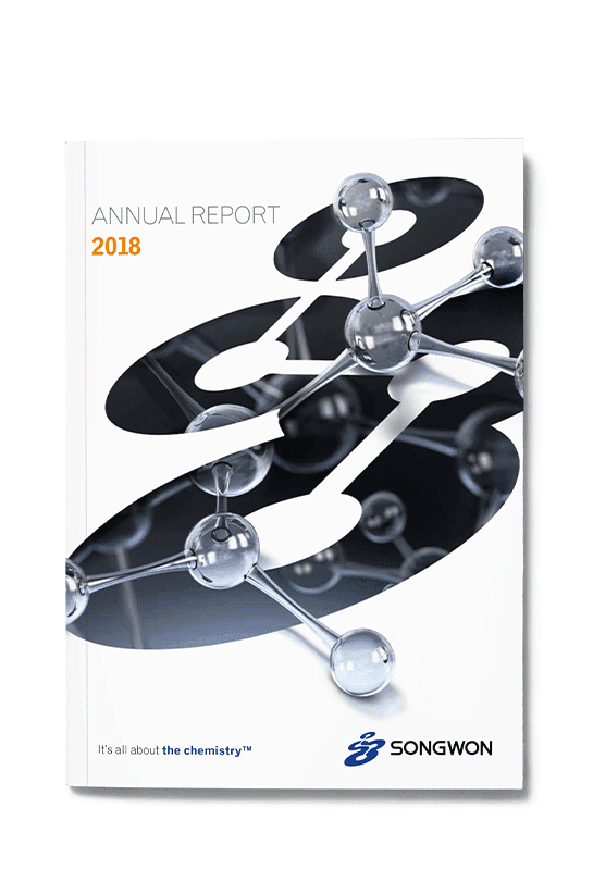 Songwon annual report 2018